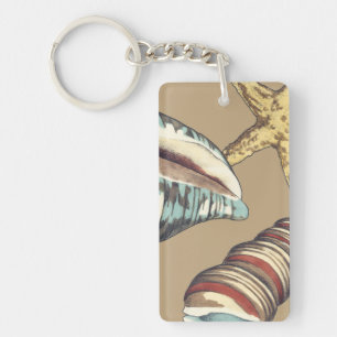 Trio Shell sur Khaki