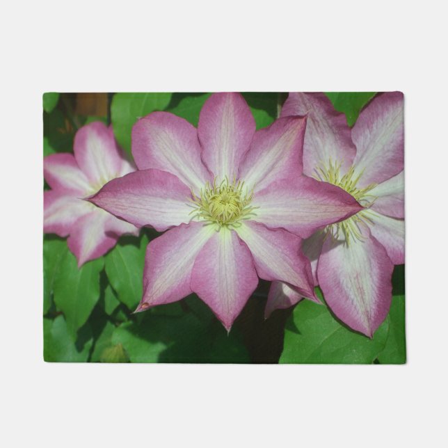 Trio von Clematin Rosa und Weißer Frühling Wein Fußmatte (Vorderseite)