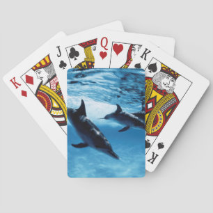 Trio von Delfinen Spielkarten
