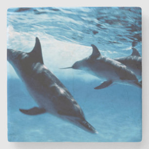 Trio von Delfinen Steinuntersetzer