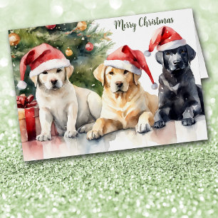 Trio von Santa-Hut Labrador Retrievern Weihnachten