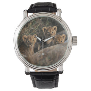 Trio von sechs Wochen alten Löwenjungen sitzend Armbanduhr