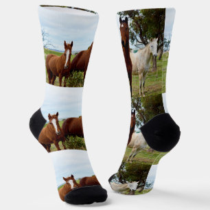 Trio von süßen Pferden, Crew Socken