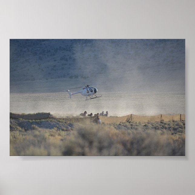 Triple B Round-up Butte Valley Nevada Poster (Vorne)