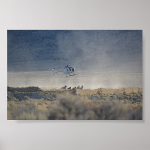 Triple B Tour up Butte Valley Nevada Poster