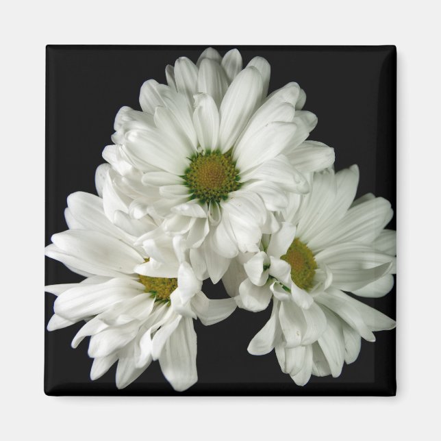 Triple Delight Magnet (Vorne)