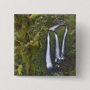 Triple Falls, Columbia River Gorge Button