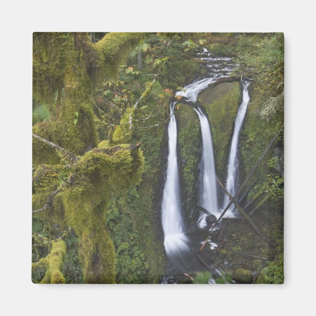 Triple Falls, Columbia River Gorge Magnet (Vorne)