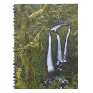 Triple Falls, Columbia River Gorge Notizblock