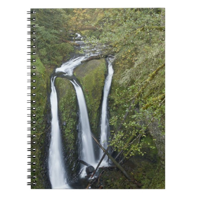 Triple Falls, Columbia River Gorge Notizblock (Vorderseite)