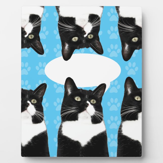 Triple Niedlich Kitty Make Statement Fun Foto Fotoplatte (Vorderseite)