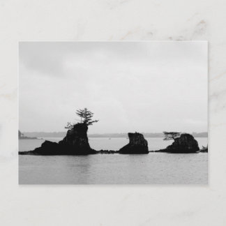 Triple Rock String von Siletz Bay Postcard Postkarte