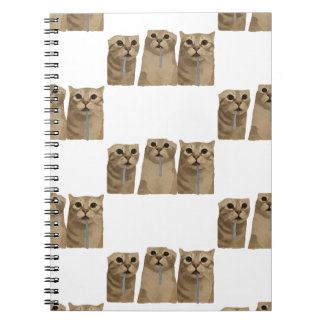 Triple Sabberndes Albernes Katzen Meme Notizblock