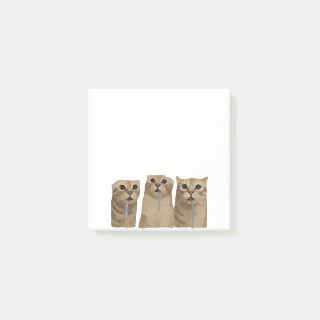 Triple Sabberndes Albernes Katzen Meme Post-it Klebezettel (Vorderseite)