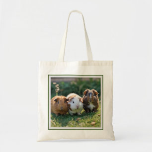 "Triple Squeak: Trio of Adorable Baby Guinea Pigs Tragetasche