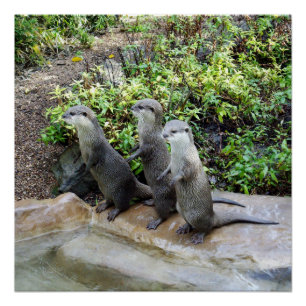 **"Triple Trouble: The Adventures of Otter Triole Poster