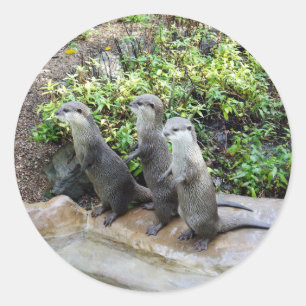 **"Triple Trouble: The Adventures of Otter Triole Runder Aufkleber