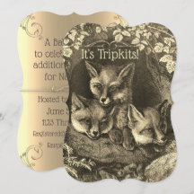Triplets Vintage Baby-Fuchs-Babydusche Einladung