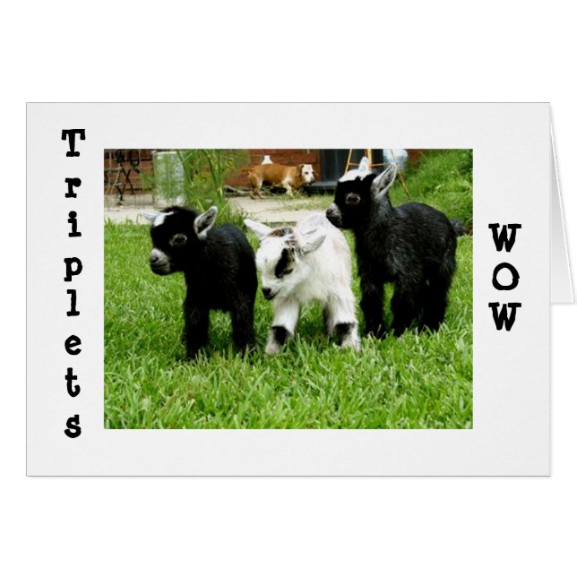 TRIPLETS=WOW=FANTASTIK (Vorderseite (Horizontal))