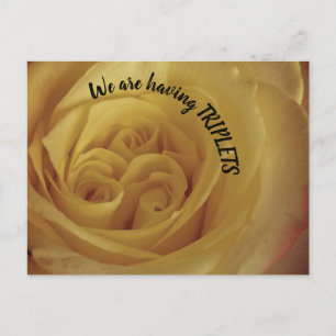Triplets Yellow Rose New Baby Ankündigung Postkarte