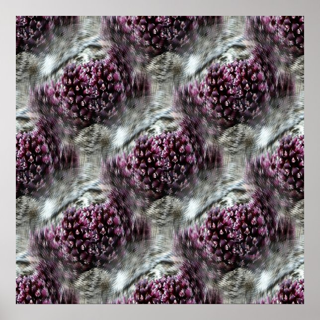 Trippin' Tidepools.... Poster (Vorne)