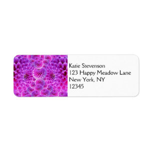 Trippy Pink PomPom Dahlia Blume