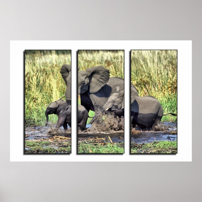 Triptychische Wildtiere Poster (Vorne)