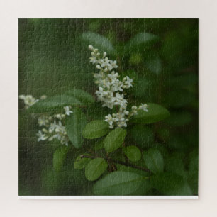 Triptychon-Blumenfotografie
