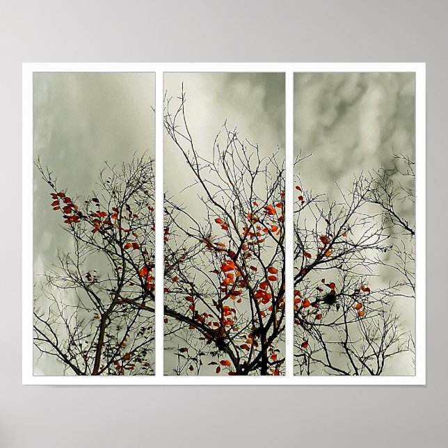 Triptychon mit natürlichen Motiven Poster (Vorne)