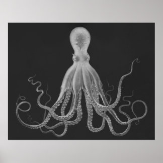 Triptyque Octopus surdimensionné Impression en gri