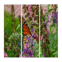 Papillon monarque