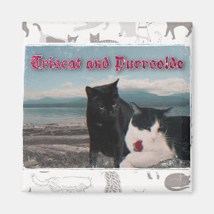 Triscat and Purrsolde magnet