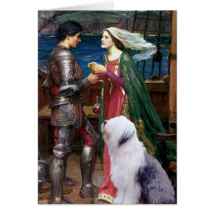 Tristam und Isolde-Old English Sheepdog 1