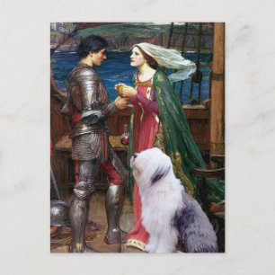 Tristam und Isolde-Old English Sheepdog 1 Postkarte