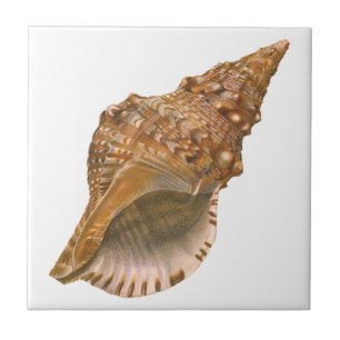 Triton-Meeresschnecke, Vintage-Meereslebewesen Fliese