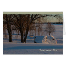 Tritonia-parken i Vasa Vaasa Finland CC0837