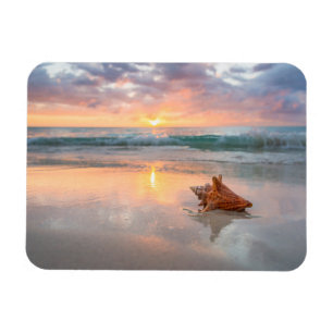 Tritonshorn-Muschel auf dem Strand   Jamaika Magnet
