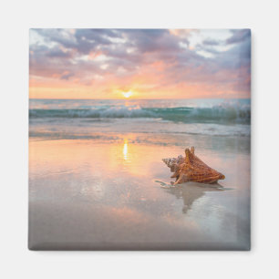 Tritonshorn-Muschel auf dem Strand   Jamaika Magnet