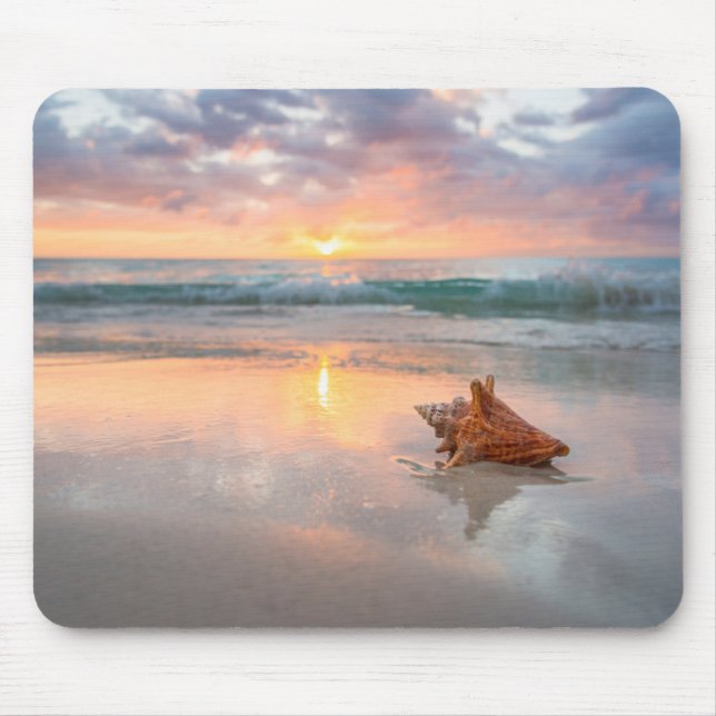Tritonshorn-Muschel auf dem Strand | Jamaika Mousepad (Vorne)