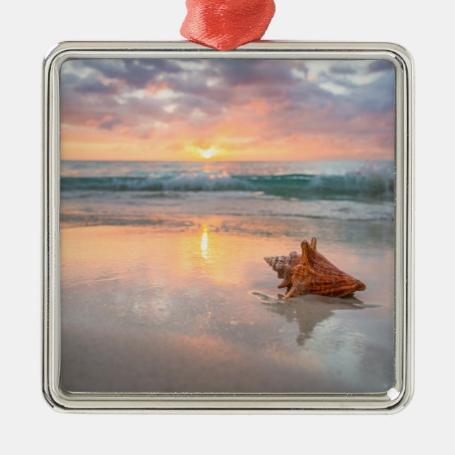 Tritonshorn-Muschel auf dem Strand | Jamaika Ornament Aus Metall (Vorne)