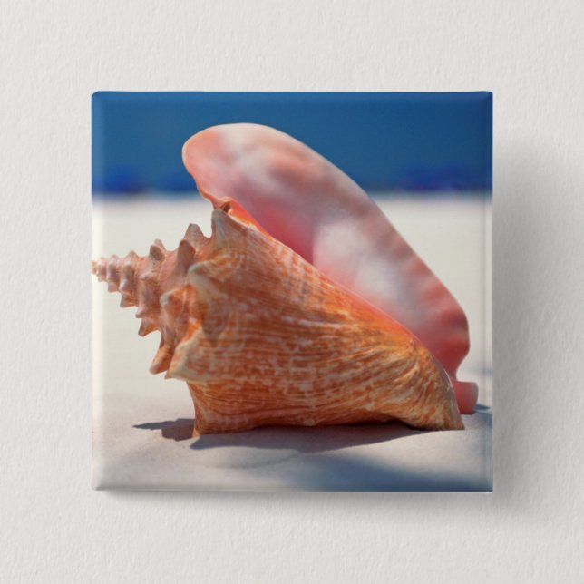Tritonshorn-Muschel auf Strand 2 Button (Vorderseite)