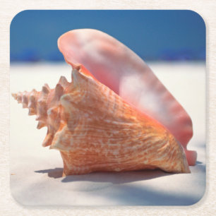 Tritonshorn-Muschel auf Strand 2 Rechteckiger Pappuntersetzer