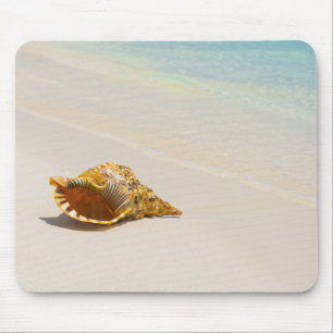 Tritonshorn-Muschel auf Strand 3 Mousepad