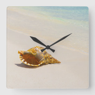 Tritonshorn-Muschel auf Strand 3 Quadratische Wanduhr