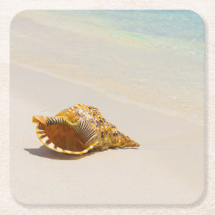 Tritonshorn-Muschel auf Strand 3 Rechteckiger Pappuntersetzer