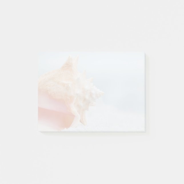 Tritonshorn-Muschel | Florida Post-it Klebezettel (Vorderseite)