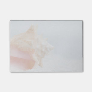 Tritonshorn-Muschel Florida Post-it Klebezettel