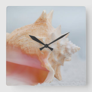 Tritonshorn-Muschel   Florida Quadratische Wanduhr