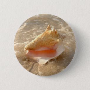 Tritonshorn-Muschel im Sand auf tropischem Strand Button