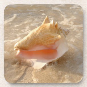 Tritonshorn-Muschel im Sand auf tropischem Strand Getränkeuntersetzer